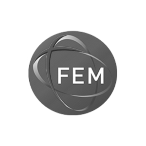 FEM
